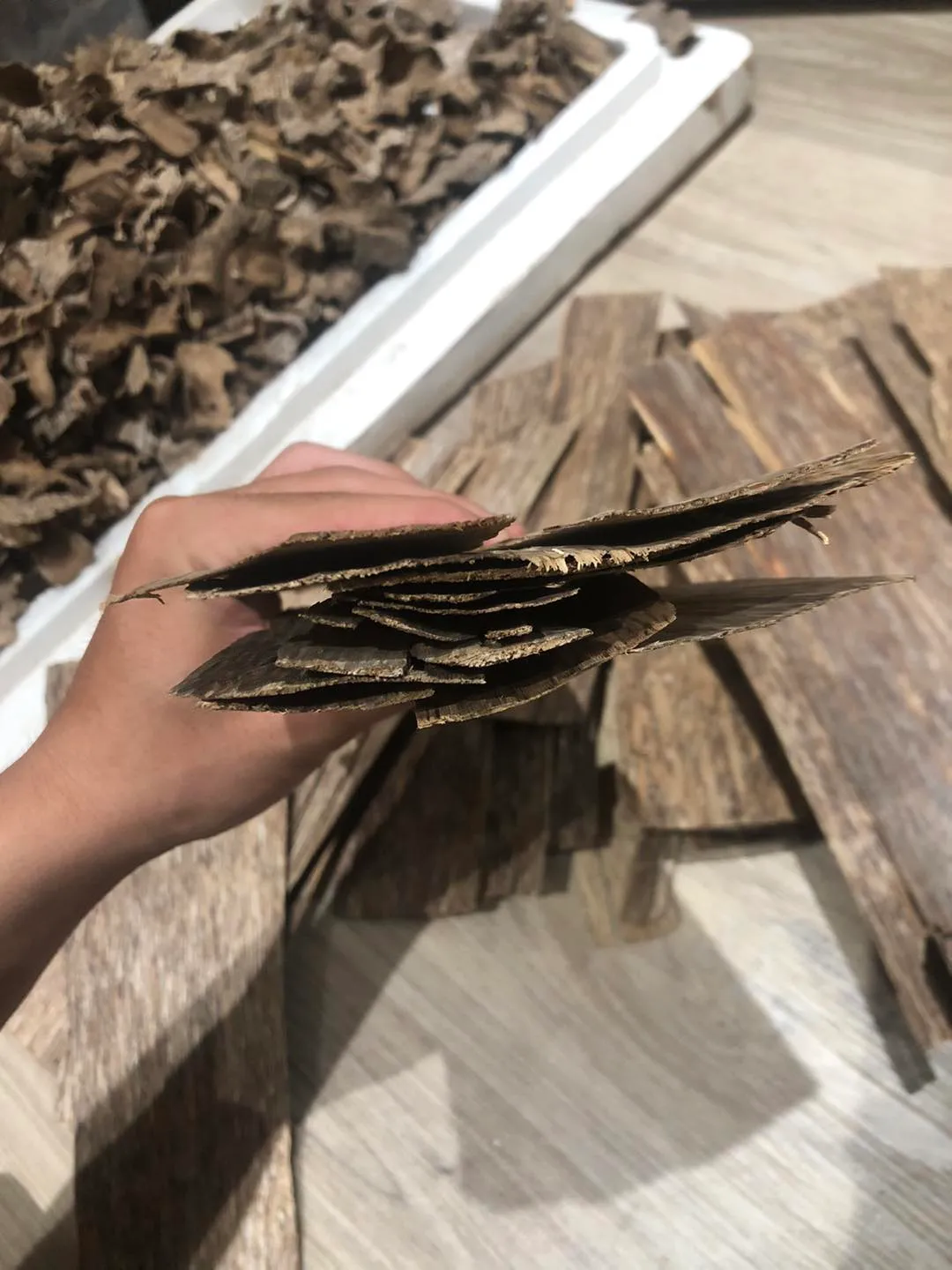 Vietnamese Agarwood Slabs – Premium “Sanh” with Single-Side Oil Layer
